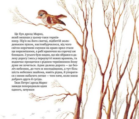 Book cover Третій сніг. Иван Андрусяк Андрусяк Iван, 978-617-7866-52-6,   €7.53