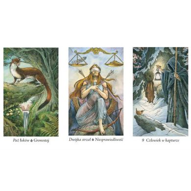 Обкладинка книги Zestaw TAROT PRADAWNEGO LASU (karty tarota + książka) (Набір ТАРО ДАВНИЙ ЛІС (карти таро + книга)) , 9788073705473,   €38.96