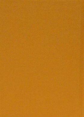 Book cover Вийшов з радіо чорний лев. Іван Драч Драч Іван, 978-617585-135-7,   €15.58