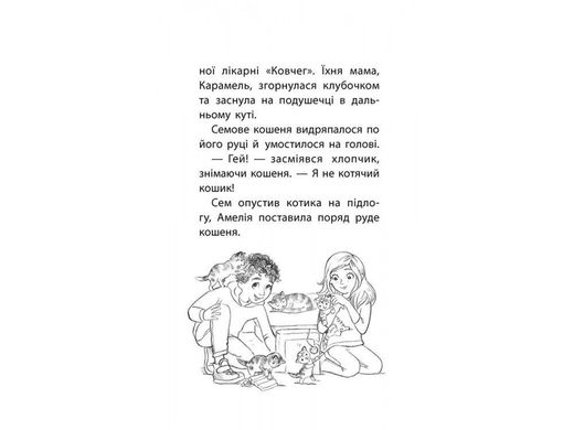 Обкладинка книги Історії порятунку. Книга 3. Лисеня у небезпеці. Деніелс Люсі Деніелс Люсі, 978-617-7661-33-6,   €8.83