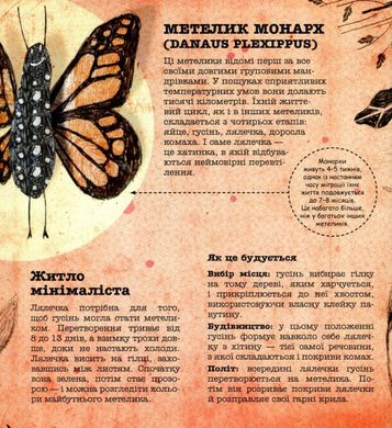 Обкладинка книги Архітектори у світі тварин. Даниель Нассар Даниэль Нассар, 978-617-7329-08-3,   €10.13