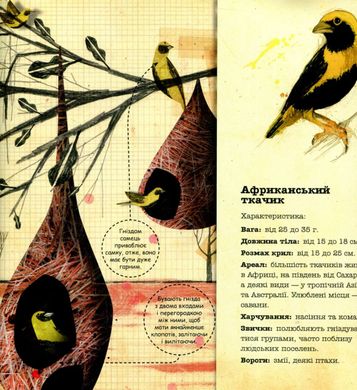 Book cover Архітектори у світі тварин. Даниель Нассар Даниэль Нассар, 978-617-7329-08-3,   €10.91