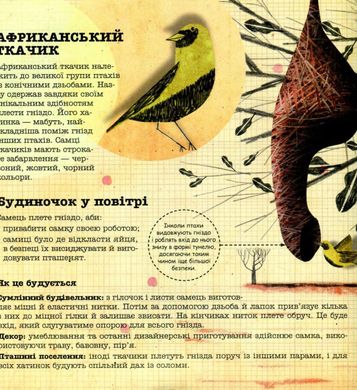 Обкладинка книги Архітектори у світі тварин. Даниель Нассар Даниэль Нассар, 978-617-7329-08-3,   €10.13