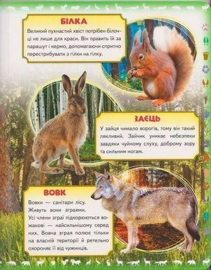 Book cover Моя перша книга. Про диких тварин , 9789669135315,   &euro;6.75