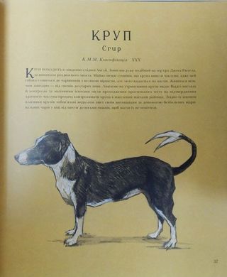 Обкладинка книги Фантастичні звірі і де їх шукати. Ілюстроване видання. Джоан Роулинг Ролінг Джоан, 978-617-585-143-2,   €38.18