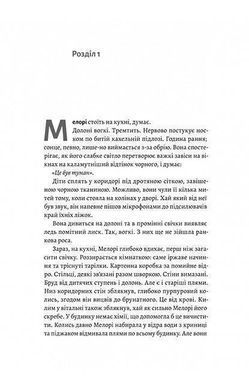 Обкладинка книги Пташиний короб. Джош Малерман Джош Малерман, 978-617-8619-27-5,   &euro;15.50