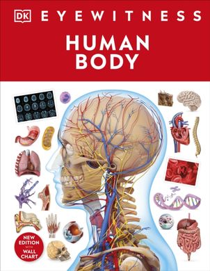 Обкладинка книги Human Body , 9780241617175,   €18.18