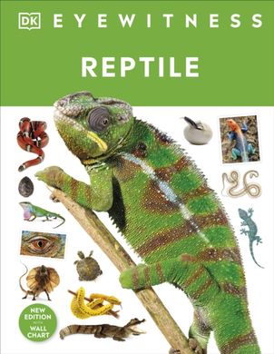 Обкладинка книги Reptile. Colin McCarthy Colin McCarthy, 9780241631676,   €18.18
