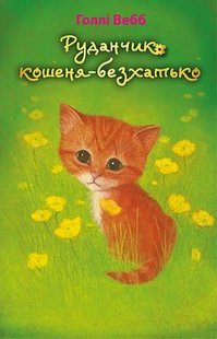 Обкладинка книги Руданчик — кошеня-безхатько. Вебб Холли Вебб Голлі, 978-617-7559-74-9,   €4.16