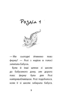 Обкладинка книги Руданчик — кошеня-безхатько. Вебб Холли Вебб Голлі, 978-617-7559-74-9,   €4.68