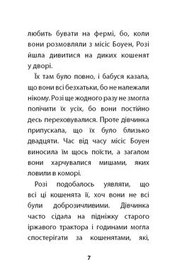 Обкладинка книги Руданчик — кошеня-безхатько. Вебб Холли Вебб Голлі, 978-617-7559-74-9,   €4.68