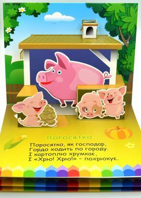 Book cover Книга-панорамка. Хто живе у селі Чубач Ганна, 978-966-254-705-4,   &euro;8.50
