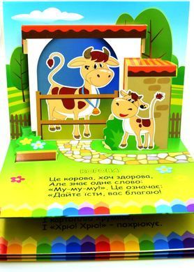 Book cover Книга-панорамка. Хто живе у селі Чубач Ганна, 978-966-254-705-4,   &euro;8.50