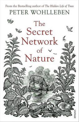 Обкладинка книги The Secret Network of Nature. Peter Wohlleben Peter Wohlleben, 9781529115772,   €11.95