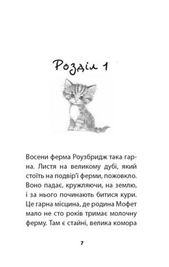 Book cover Загублена в снігах, або Пухнасточка. Вебб Холли Вебб Голлі, 978-617-7347-41-4,   €4.68