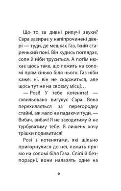 Обкладинка книги Загублена в снігах, або Пухнасточка. Вебб Холли Вебб Голлі, 978-617-7347-41-4,   €4.68