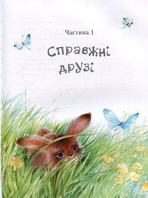 Book cover Таємниця справжньої дружби. Пригоди зайченятка Косі. Кравченко Людмила Кравченко Людмила, 978-617-7307-15-9,   €6.75