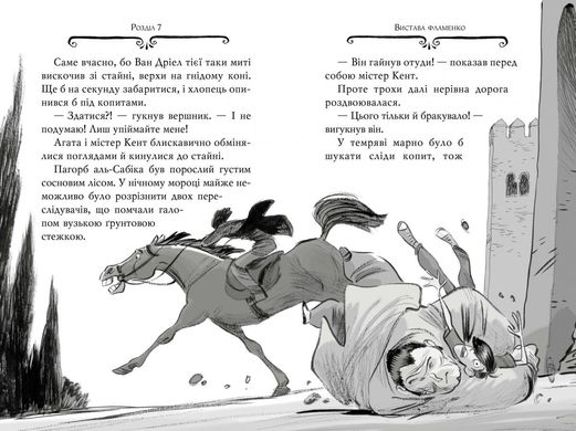 Обкладинка книги Агата Містері. Розслідування у Ґранаді (Троянда Альгамбри). Кн. 12. Сер Стив Стивенсон Сер Стів Стівенсон, 978-617-8248-51-2,   €9.35