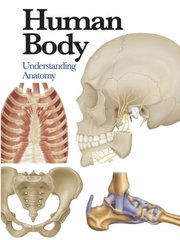 Обкладинка книги Human Body. Understanding Anatomy (Mini Encyclopedia) Jane de Burgh, 9781782743774,   €13.77