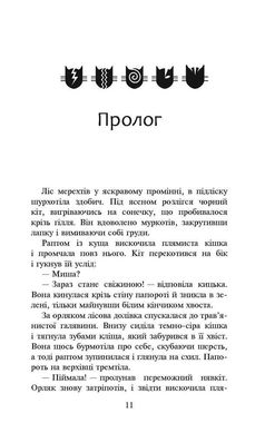 Обкладинка книги Коти-вояки. Сила трьох. Книга 4. Затемнення. Гантер Ерін Гантер Ерін, 978-617-7995-13-4,   €17.92