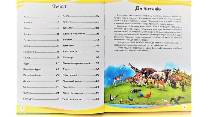 Обкладинка книги Енциклопедія у запитаннях і відповідях. Мами та малюки , 9789669472625,   €10.65