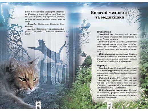 Обкладинка книги Коти-вояки. Таємниці кланів. Путівник по серії. Гантер Ерін Гантер Ерін, 978-617-7660-27-8,   €27.27