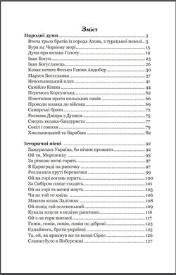 Обкладинка книги Українські народні думи та історичні пісні , 978-966-10-5338-9,   €5.45