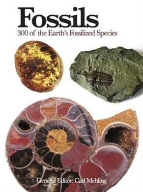 Book cover Fossils : 300 of the Earth's Fossilized Species. Carl Mehling Carl Mehling, 9781782742586,   €18.18