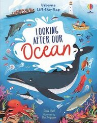 Book cover Lift-the-flap Looking After Our Ocean. Rose Hall Rose Hall, 9781474997898,   €16.36