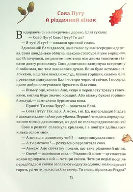 Book cover Таємниця різдвяного подарунка. Анна Лотт Анна Лотт, 978-966-982-517-9,   €10.13