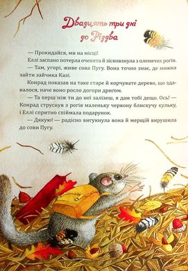 Book cover Таємниця різдвяного подарунка. Анна Лотт Анна Лотт, 978-966-982-517-9,   €10.13