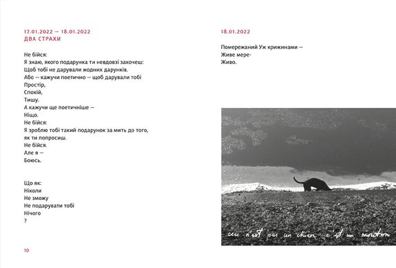 Book cover PRIMITIVO. Мар'яна Прохасько Мар'яна Прохасько, 978-966-448-104-2,   €15.84
