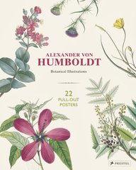 Обкладинка книги Alexander Von Humboldt: Botanical Illustrations. 22 Pull-Out Posters. Otfried Baume Otfried Baume, 9783791385136,   €27.53