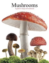 Book cover Mushrooms. Liz O'Keefe Liz O'Keefe, 9781838864392,   €24.94