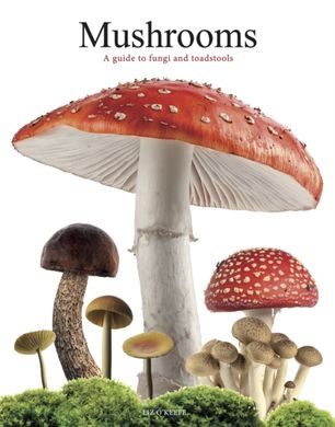 Book cover Mushrooms. Liz O'Keefe Liz O'Keefe, 9781838864392,   €24.94