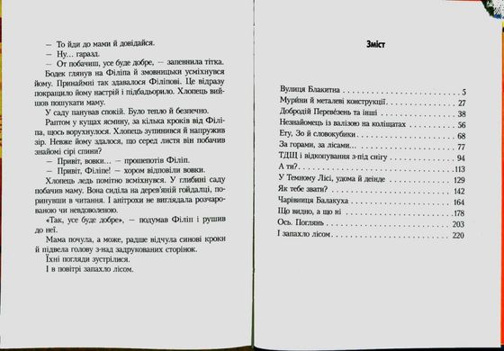 Book cover Привіт, вовки! Касьянович Дорота Касьянович Дорота, 978-966-2647-48-8,   €6.49