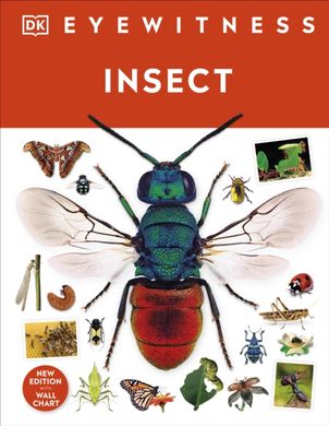 Обкладинка книги Insect , 9780241617311,   €18.18