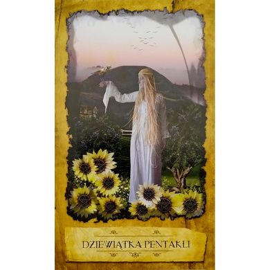 Обкладинка книги MISTYCZNY TAROT MARZYCIELA 78 kart + książka (МІСТИЧНЕ ТАРО МРІЙНИКА 78 карт + кн) , 9788073701833,   €36.36